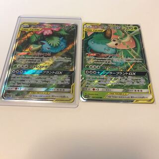 フシギバナ＆ツタージャ SR  RR