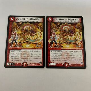 シンカゲリュウ・柳生・ドラゴン　2枚　DMX22