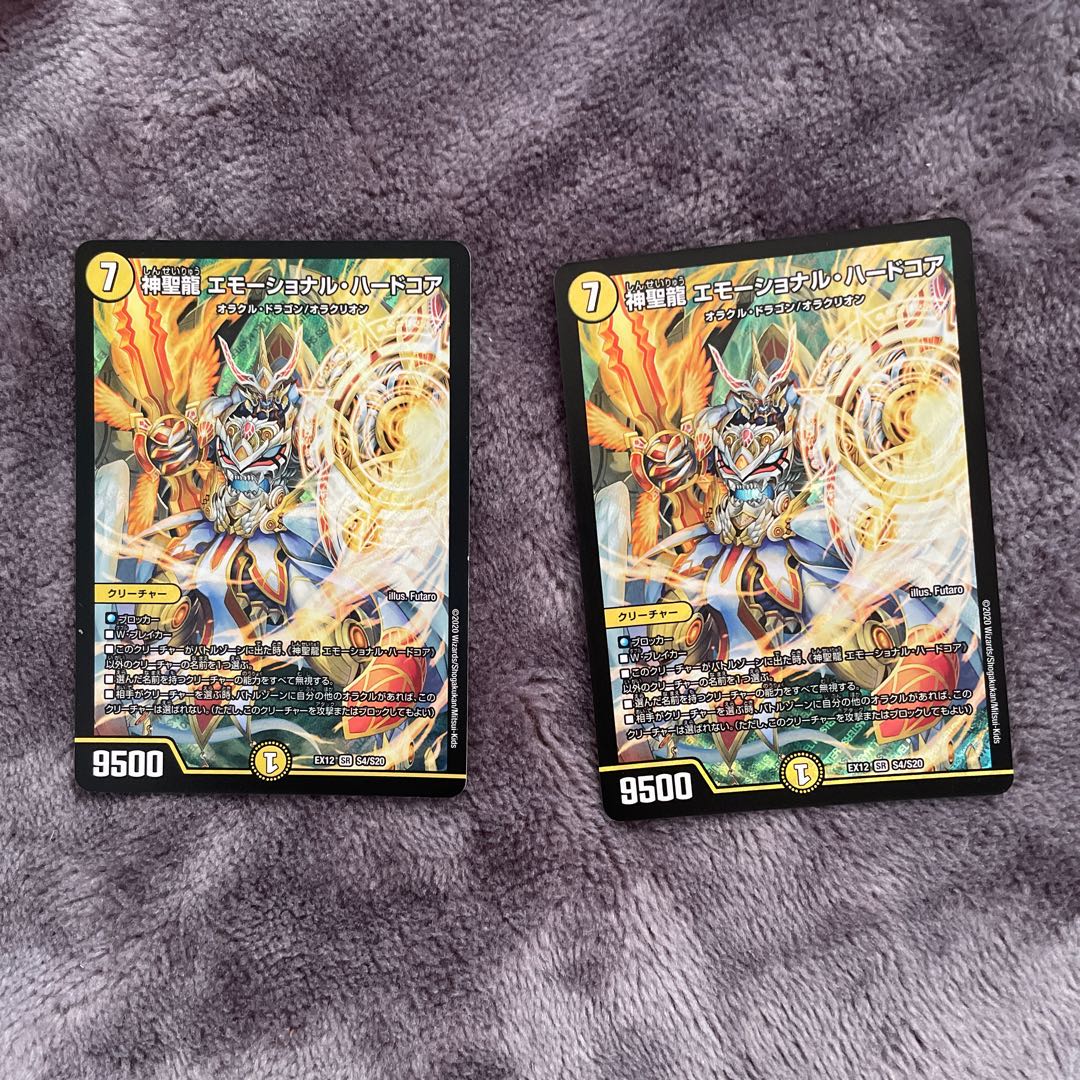 神聖龍 エモーショナル・ハードコア