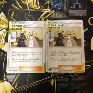 タケタケ様専用 シロナ&カトレア グズマ ハラ セット