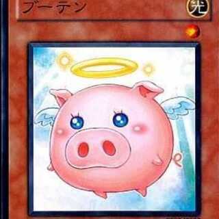 ブーテン二枚セット