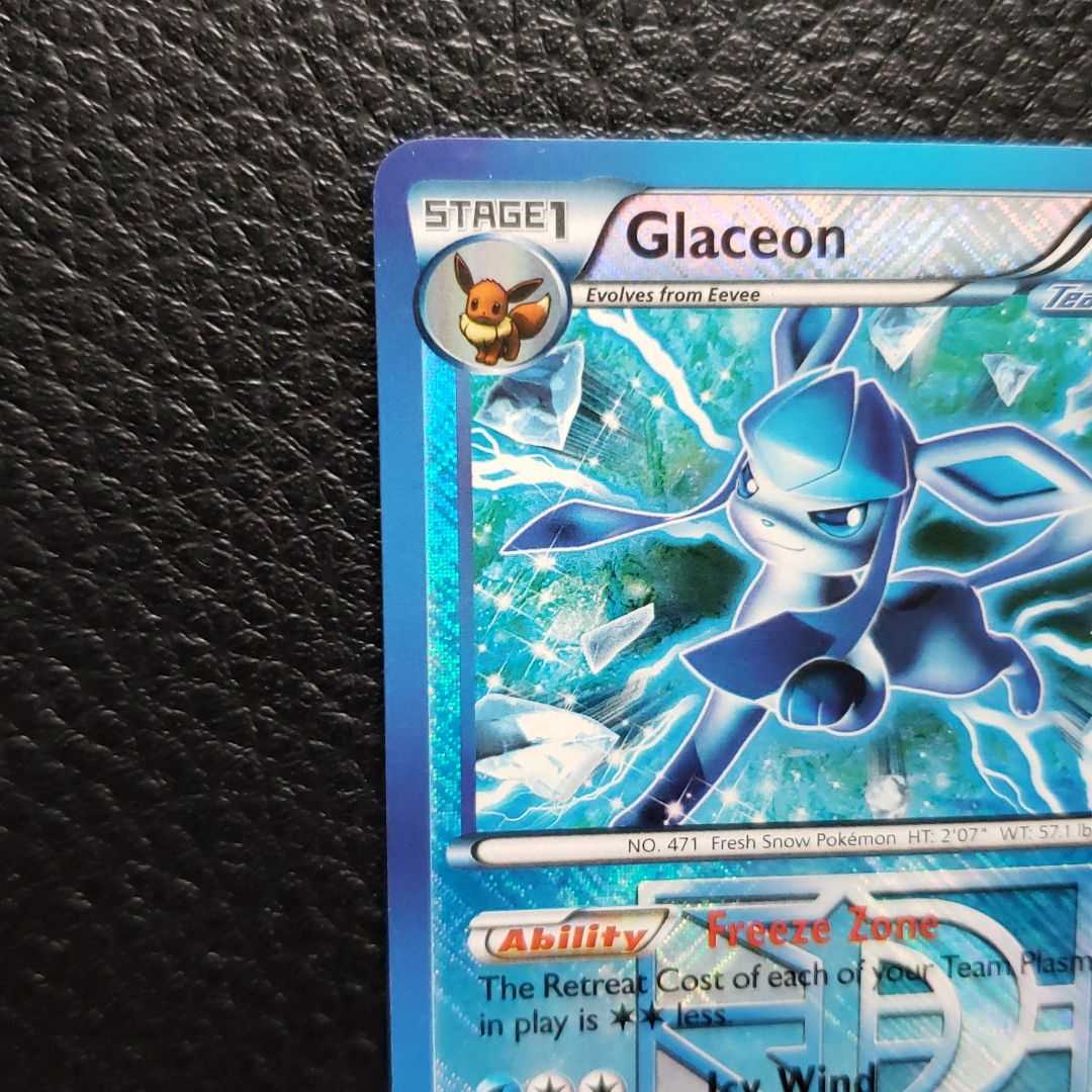 英版グレイシア チャンピオンシップSTAFFプロモ 英版グレイシア チャンピオンシップSTAFFプロモ