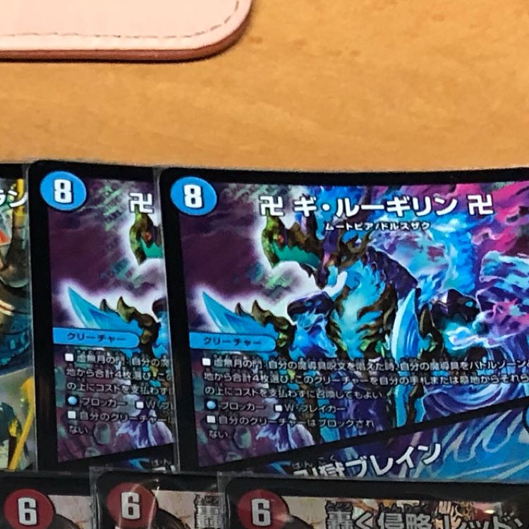 ルーギリン専用説明読んでください 1枚
