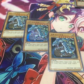 遊戯王　青眼の白竜　韓国