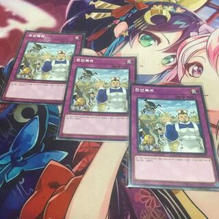 遊戯王　戦線復帰　韓国