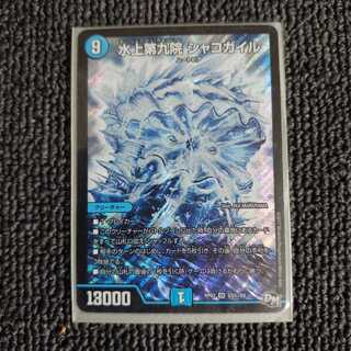 水上第九院 シャコガイル