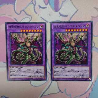 捕食植物ドラゴスタペリア