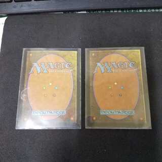 ZeeeDさん専用　2枚