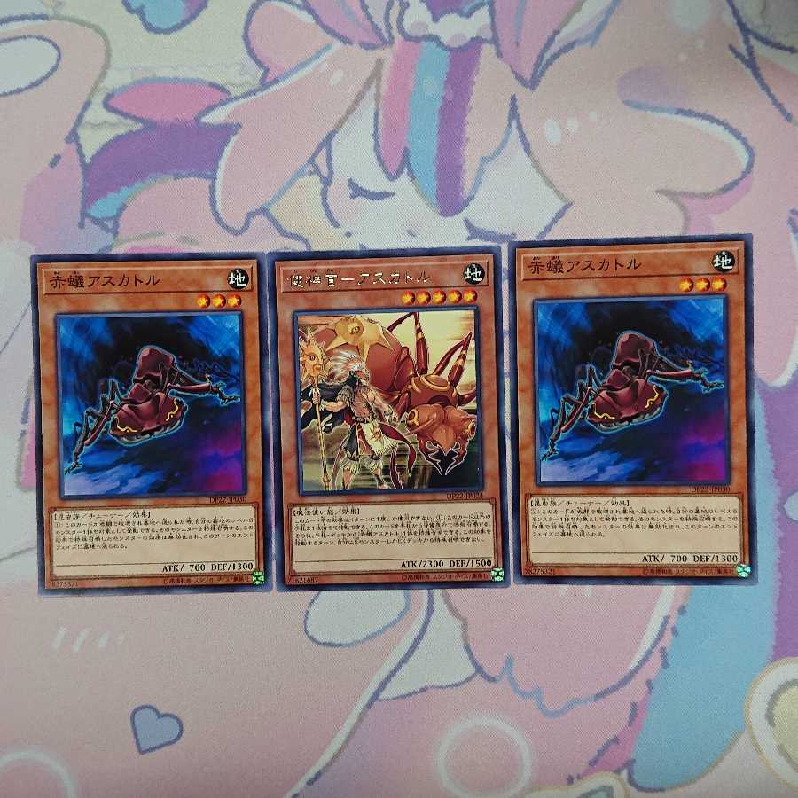 赤蟻アスカトルセット