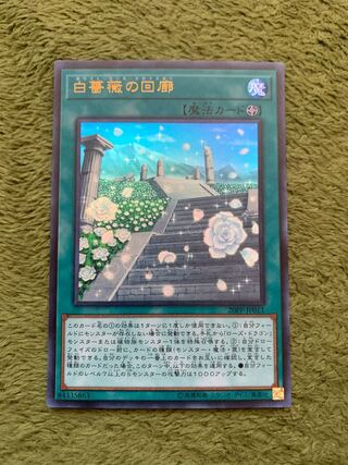 白薔薇の回廊 ウルトラレア