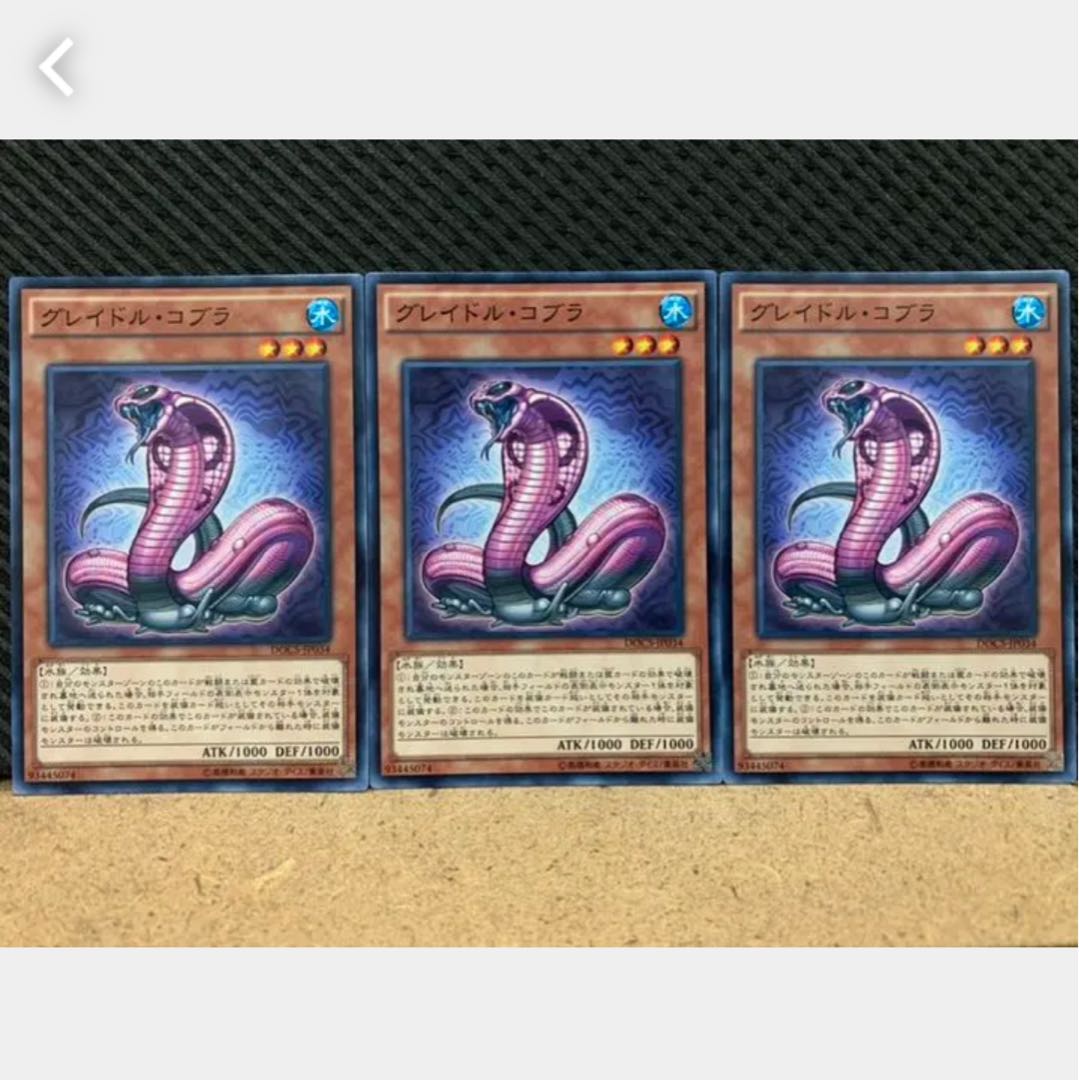 Popotan] Yu-Gi-Oh 1497 Graydle Cobra 3 Cards Normal