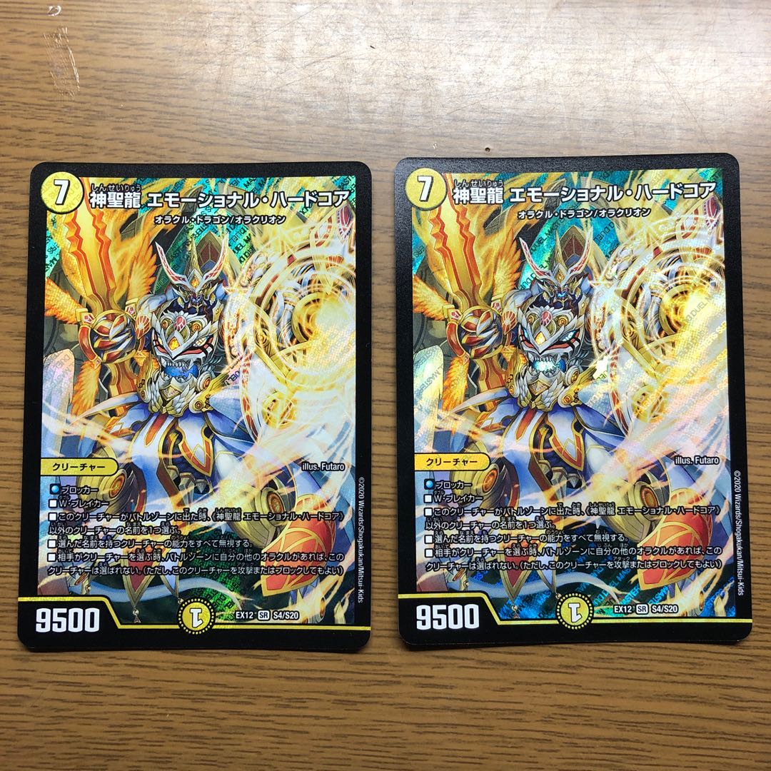 神聖龍 エモーショナル・ハードコア　2枚