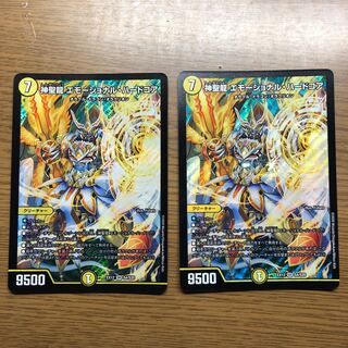 神聖龍 エモーショナル・ハードコア　2枚