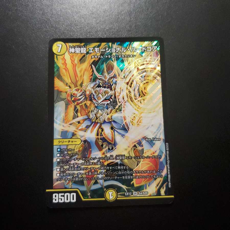 神聖龍 エモーショナル・ハードコア