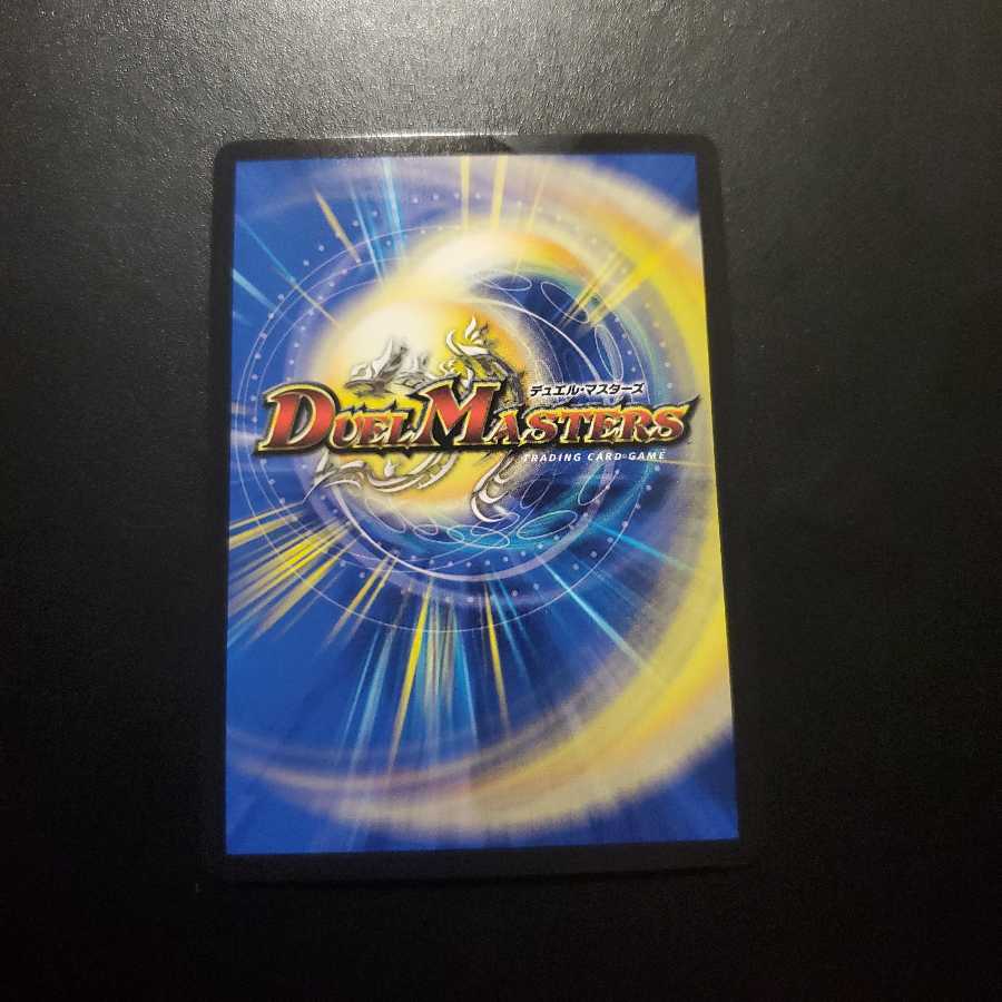 神聖龍 エモーショナル・ハードコア