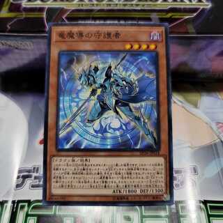 竜魔導の守護者　N