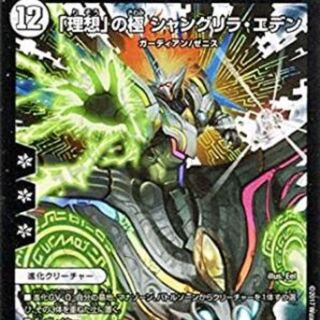 シャングリラエデン専用 1枚