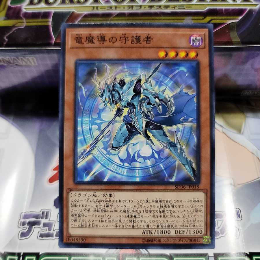 竜魔導の守護者　N