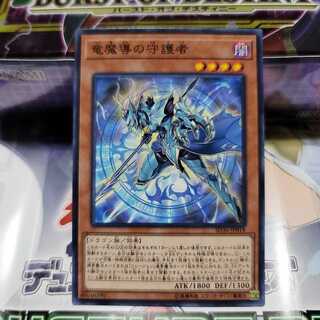 竜魔導の守護者　N