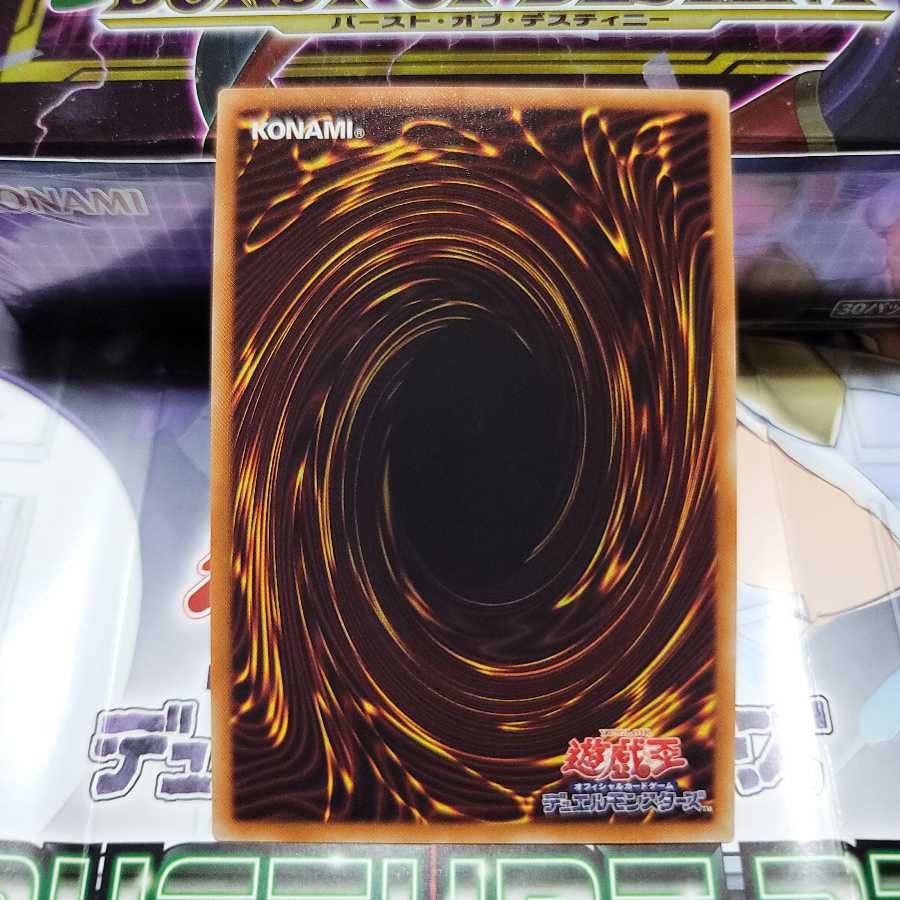 竜魔導の守護者　N