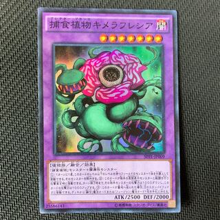 捕食植物キメラフレシア