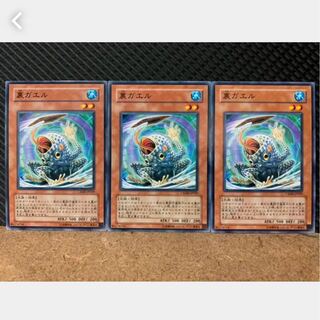 【ぽぽたん】遊戯王 1348 裏ガエル 3枚 ノーマル