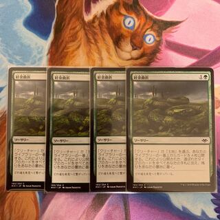 Winding Way Japanese 4 (2)