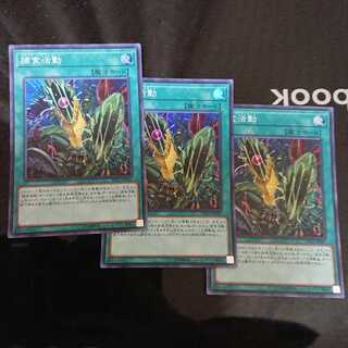 捕食活動 スーパーレア 3枚セット