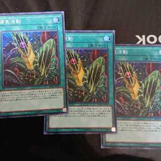 捕食活動 スーパーレア 3枚セット