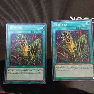 捕食活動 スーパーレア 2枚