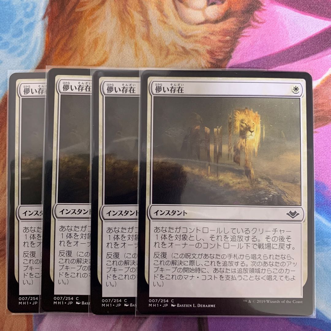 儚い存在　日本語　4枚③