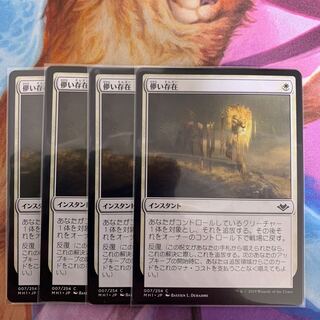 儚い存在　日本語　4枚③