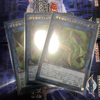 捕食植物ヴェルデ・アナコンダ