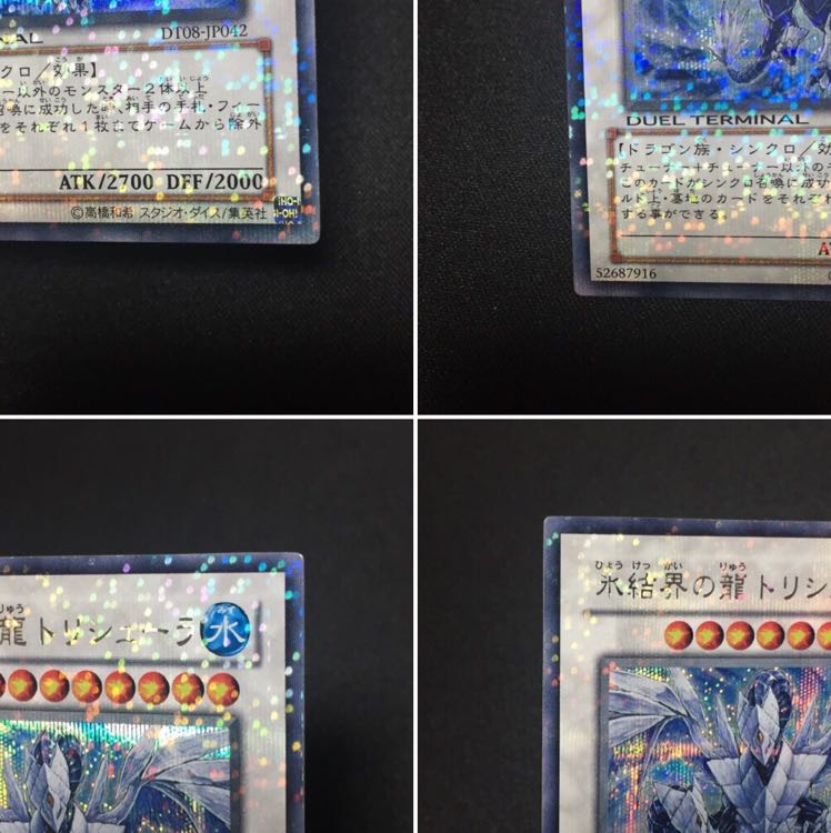 kaiba様専用  氷結界の龍 トリシューラ  DT08 シク