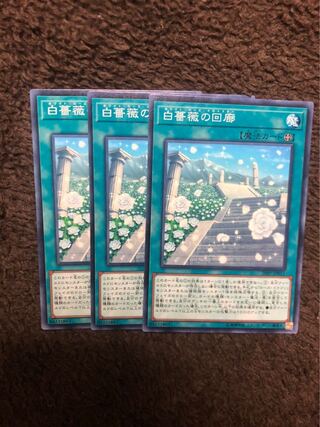 白薔薇の回廊　遊戯王 ホワイト・ローズ・クロイスター　3枚セット