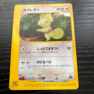 Ships within 24h Kecleon