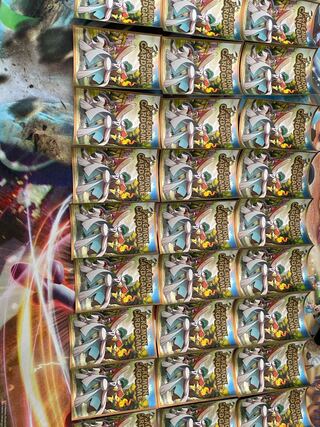 Pokemon Card Gallade Sleeve