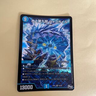 水上第九院 シャコガイル