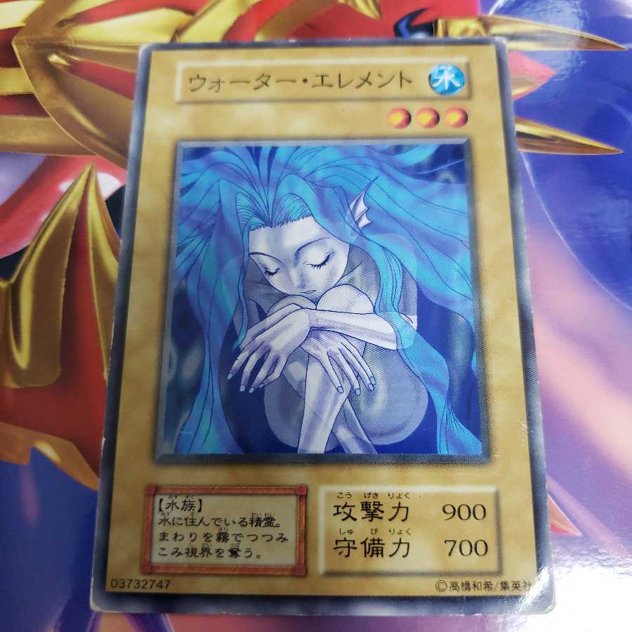 ウォーター・エレメントとヴィシュア・ランディ初期