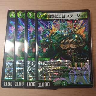 武家類武士目 ステージュラ