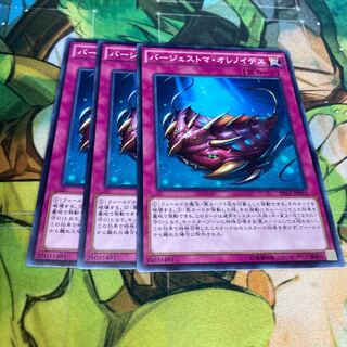 バージェストマ・オレノイデス ノーマル　3枚