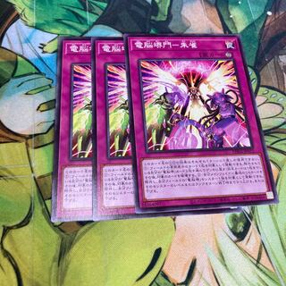 電脳堺門-朱雀 ノーマル　3枚