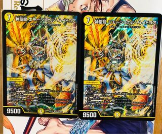 神聖龍 エモーショナル・ハードコア 2枚セット