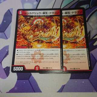 シンカゲリュウ・柳生・ドラゴン