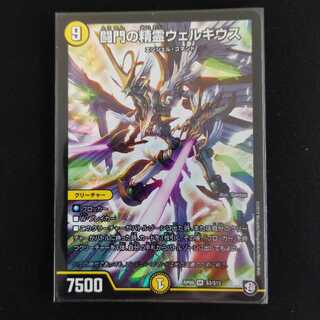 闘門の精霊ウェルキウス