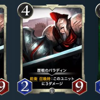 歴戦のパラディン lv.41