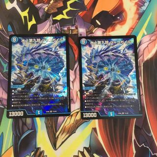 水上第九院シャコガイル 2枚