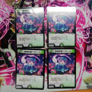 ベラドンナ　4枚