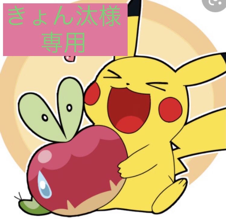 キョン汰様専用　1口 1枚