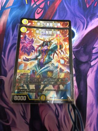 煌メク聖壁 灰瞳